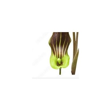 Test - paketprodukt