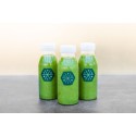 Smoothie Frisk | Panini Internazionale
